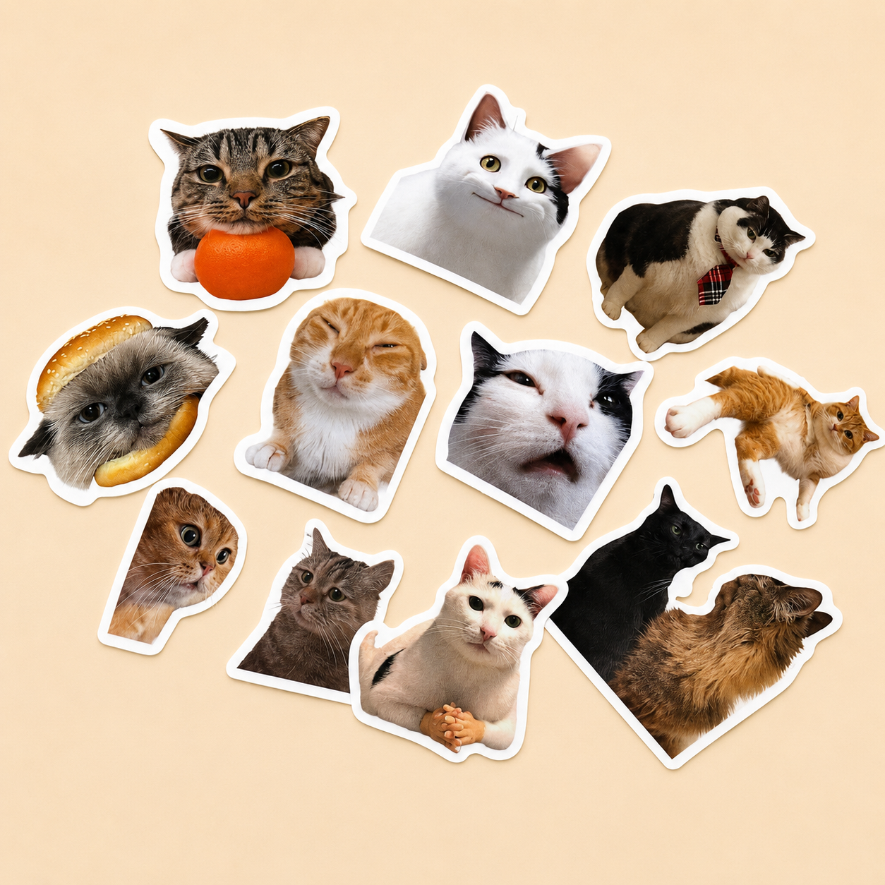 Cat assorted stickers (10)